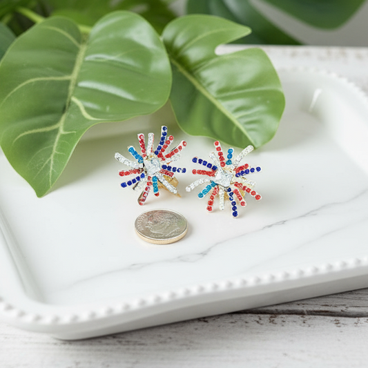 Baby You’re a Firework! Earrings