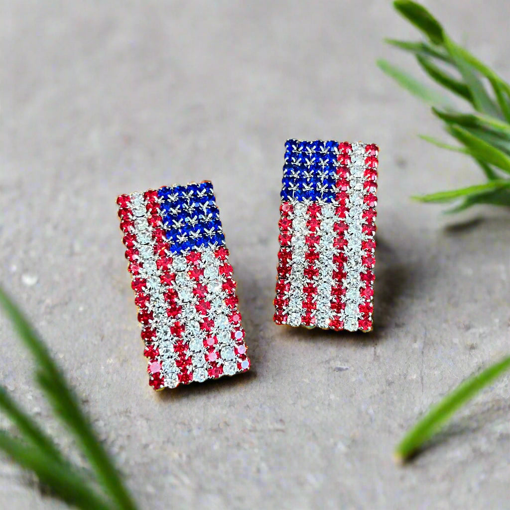 Oh Say Can You See Earrings