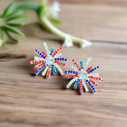 Baby You’re a Firework! Earrings