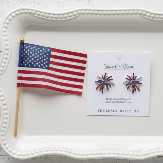 Baby You’re a Firework! Earrings